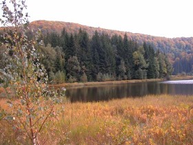 tavonul mohos, cazare, turism